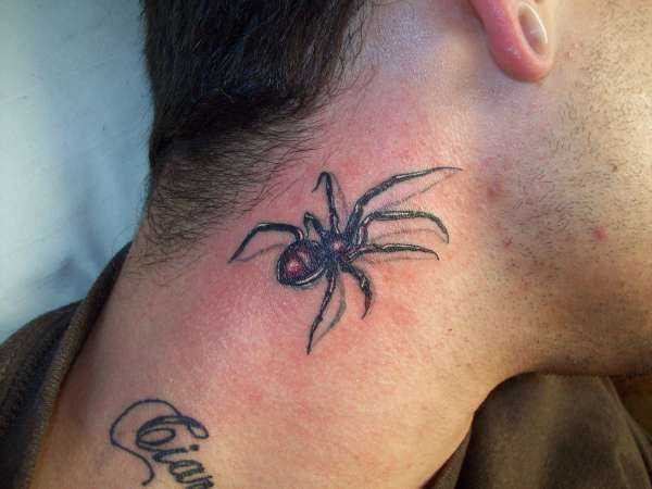 Spider-tattoo-89862.jpeg