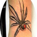 Mammut Tattoo