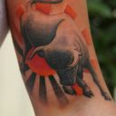Stier