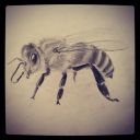 PixiKnips Art