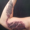 Biomechanik Robbys Tattoo Stoßdämpfer Blechschild