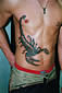Tattoo Galerie - Motive - Tierwelt -