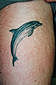 Tattoo Galerie - Motive - Delphin - 