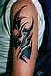 Tattoo Galerie - Motive - Tribal - 