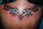 Tattoo Galerie - Motive - Tribal - 