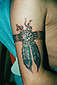 Tattoo Galerie - Motive - Diverses - 