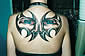 Tattoo Galerie - Motive - Diverses -