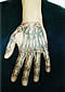 Tattoo Galerie - Motive - Diverses - 
