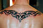 Tattoo Galerie - Motive - Tribal - 