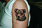 Tattoo Galerie - Motive - Tierwelt -
