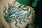 Tattoo Galerie - Motive - Diverses -