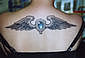 Tattoo Galerie - Motive - Diverses -