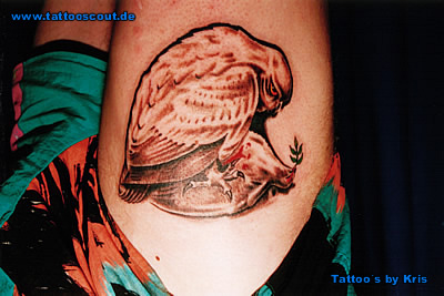 Tattoo Galerie - Motive - Eule - Tattoo - Company