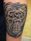 Tattoo Galerie - Motive - Bear - 