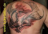 Tattoo Galerie - Motive - Diverses - 