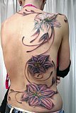Tattoo Galerie - Motive - Diverses - 