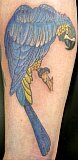 Tattoo Galerie - Motive - Diverses -