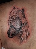Tattoo Galerie - Motive - Tier Portrait - 