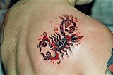 Tattoo Galerie - Motive - Diverses -