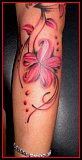 Tattoo Galerie - Motive - Diverses -