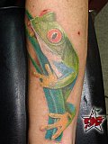 Tattoo Galerie - Motive - Frosch - 