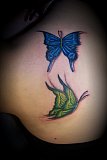 Tattoo Galerie - Motive - Tierwelt - 