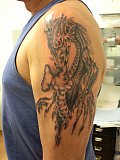 Tattoo Galerie - Motive - Celtic - 