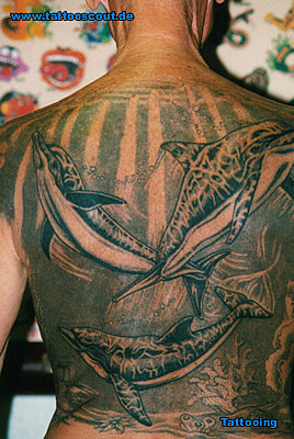 Tattoo Galerie - Motive - Delphin - Tattooing