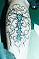Tattoo Galerie - Motive - Diverses -