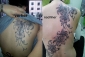 Tattoo Galerie - Motive - Pflanzenwelt -