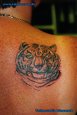 Tattoo Galerie - Motive - Tierwelt - Tattoostudio Dänemark