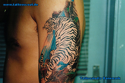 Tattoo Galerie - Motive - Tierwelt - Tattoostudio Dänemark