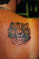 Tattoo Galerie - Motive - Tierwelt -