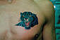 Tattoo Galerie - Motive - Tierwelt -