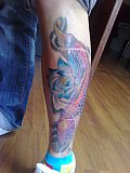 Tattoo Galerie - Motive - Koi - 
