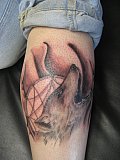 Tattoo Galerie - Motive - Diverses - 