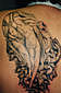 Tattoo Galerie - Motive - Diverses - 