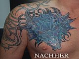 Tattoo Galerie - Motive - Tierwelt - 