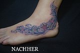 Tattoo Galerie - Motive - Tribal - 
