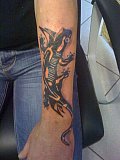 Tattoo Galerie - Motive -  - 