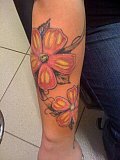 Tattoo Galerie - Motive - Pflanzen - 