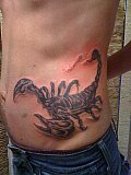 Tattoo Galerie - Motive - Diverses -