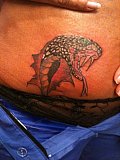 Tattoo Galerie - Motive - Schlangen - 