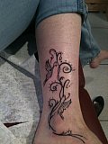 Tattoo Galerie - Motive - Tribal -