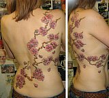 Tattoo Galerie - Motive -  - 