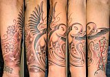 Tattoo Galerie - Motive - Old/New School - 