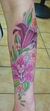 Tattoo Galerie - Motive -  - 