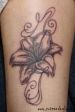 Tattoo Galerie - Motive -  - 
