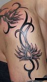Tattoo Galerie - Motive - Tribal -