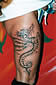 Tattoo Galerie - Motive - Diverses -